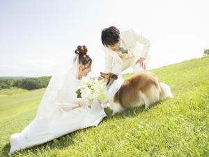 お客の声を確認できる結婚指輪の専門店