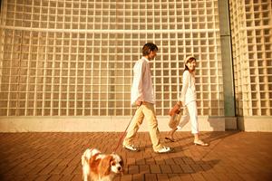 浜松で結婚相談所を利用するならここ